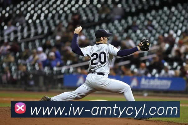 太阳城网站全站App 太阳城网站全站App